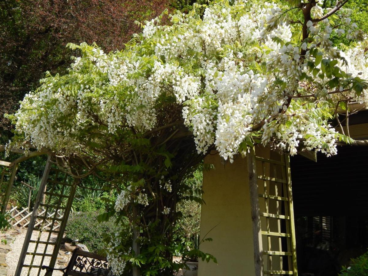 The Petite Chalet Chambre D'Hotes L'Isle-Jourdain  Екстер'єр фото
