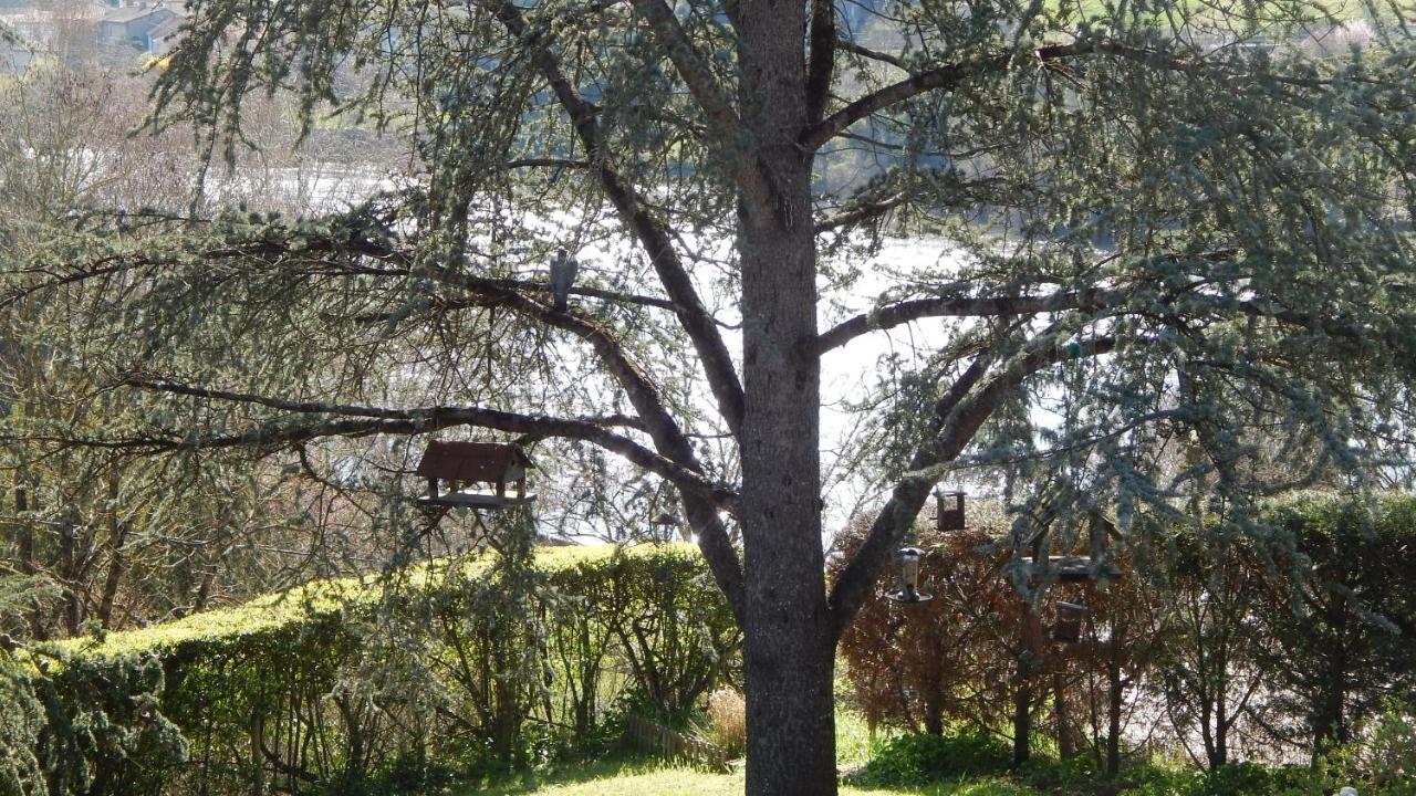 The Petite Chalet Chambre D'Hotes L'Isle-Jourdain  Екстер'єр фото